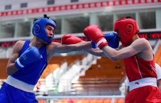 吃瓜娱乐拳击比赛,吃瓜群众眼中的精彩对决